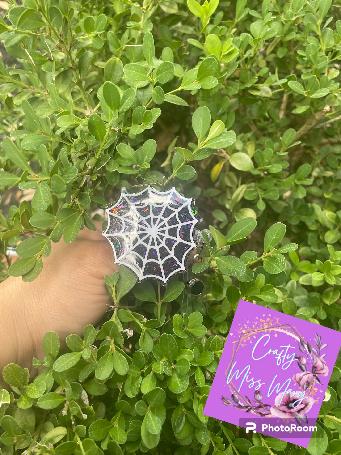 Spider web